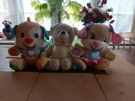 Photo of free teddys (Twyford RG10) #1
