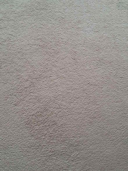 Photo of free Bedroom Carpet (College Town GU47) #1