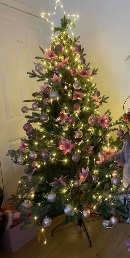 Photo of free Christmas Tree (New Malden KT3) #1