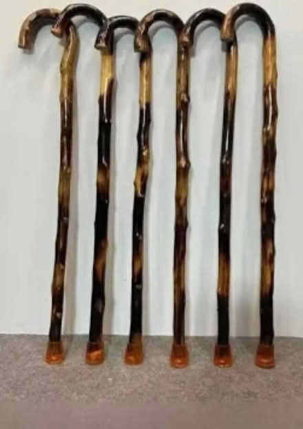 Photo of Cane (Churchil Meadows & Thomas st) #1