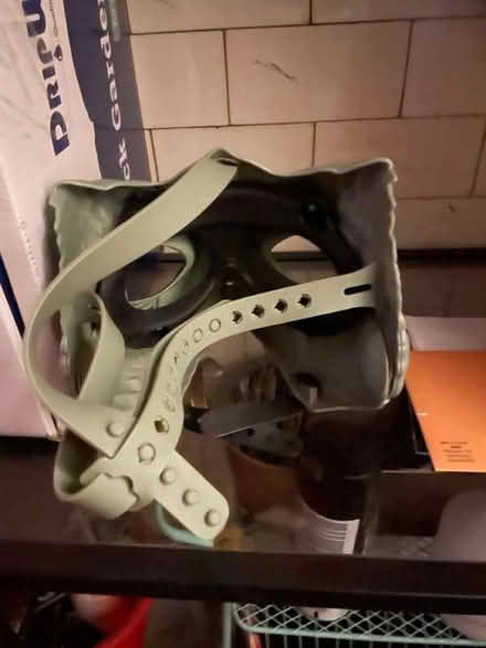 Photo of free Dinosaur mask (69th Ave btw 60th Ln & 60th st) #3