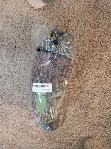 Photo of free Plastic owl decoy, new (Meriden off Curtis st) #1