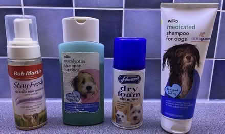 Photo of free Assorted Dog Shampoos (Brickhill MK41) #1