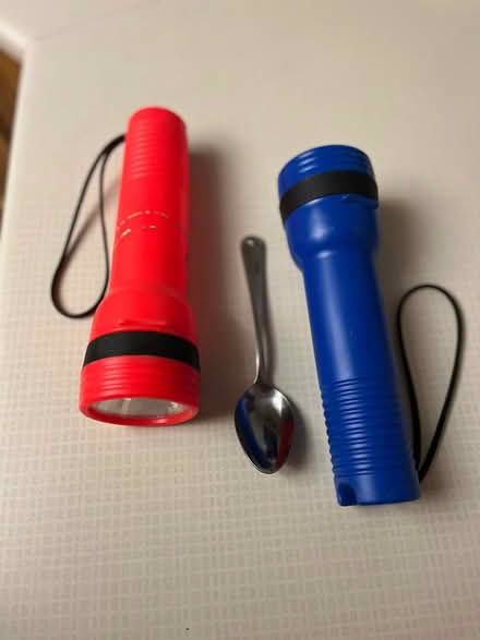 Photo of free Flashlights (Kanata Lakes/Beaverbrook) #1