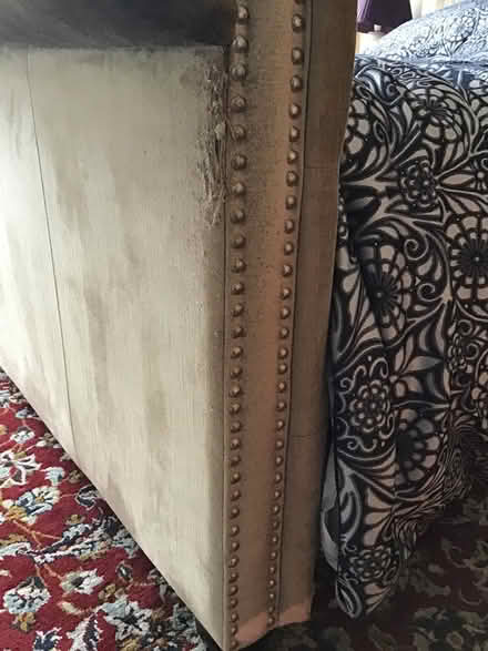 Photo of free Grey Velvet double bed (Clunton SY7) #2
