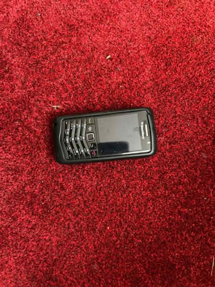 Photo of free Blackberry (Dallington) #1