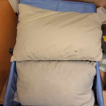 Photo of free 2 duck feather pillows (Oaklands nr Welwyn AL6) #1