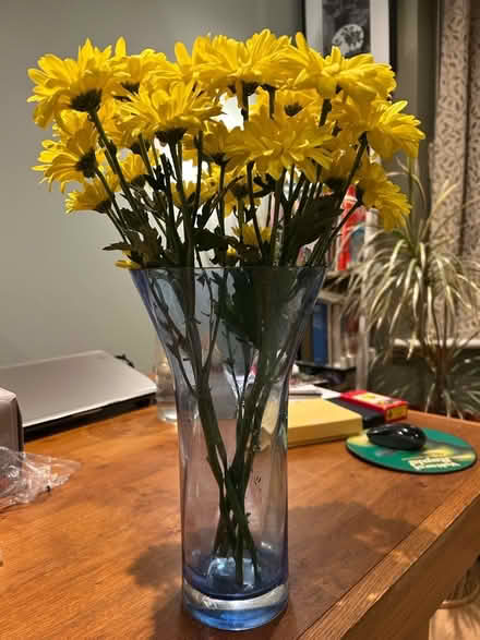 Photo of free Tall glass vase (Gedling NG4) #2