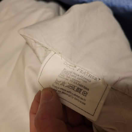 Photo of free 2 duck feather pillows (Oaklands nr Welwyn AL6) #3