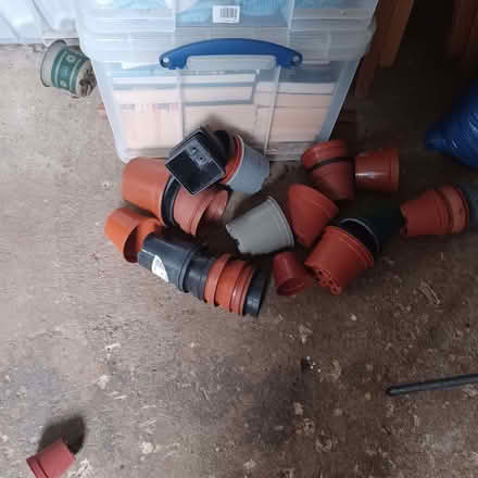 Photo of free Plant potss (Datchet SL3) #1