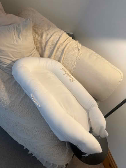 Photo of free Sleepyhead (Walton) #1