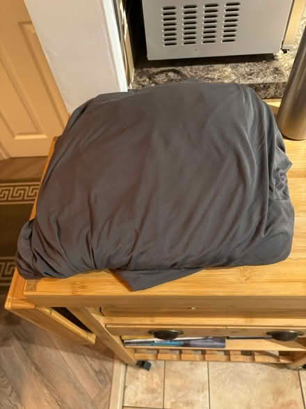 Photo of free Pet sofa cover (Wantage OX12) #3