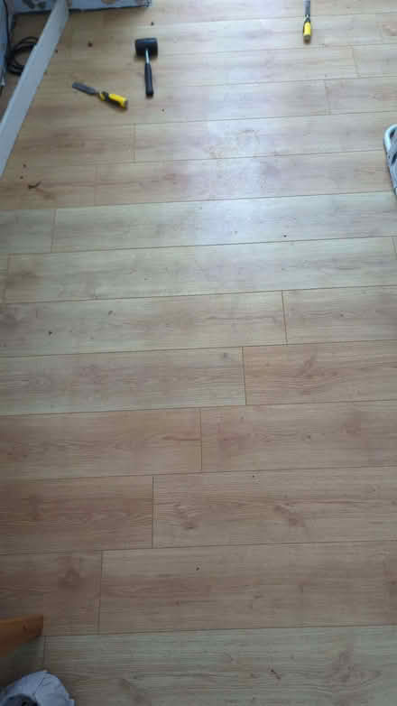 Photo of free Used Laminate Flooring, Light Oak Effect (Cramlington NE23) #4
