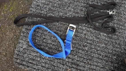 Photo of free Dog Collar Lead (Royal Leamington Spa CV31) #1