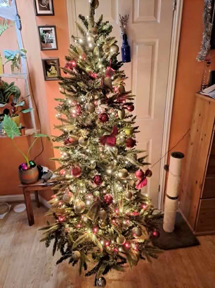Photo of free Christmas tree (Isleworth TW7) #2