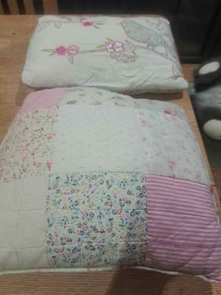 Photo of free Cushions (Weston) #1