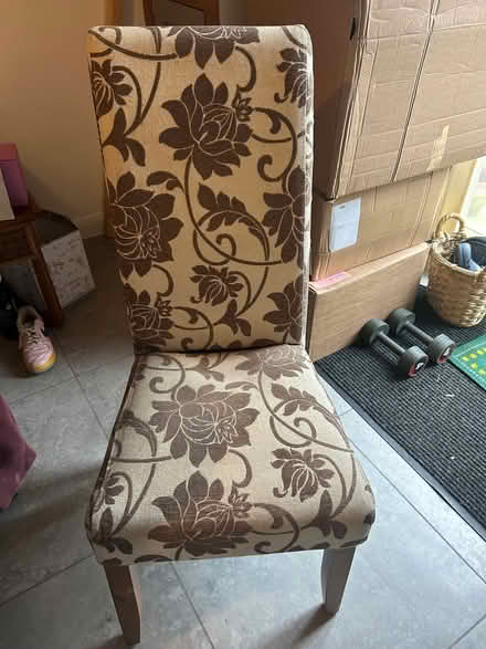 Photo of free 2 Dining table chairs (Boulton DE24) #1