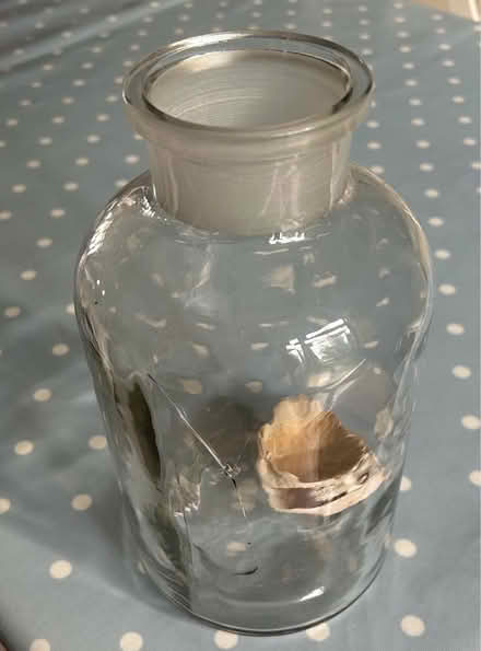 Photo of free Large cracked apothecary's bottle (TW2 whitton) #1