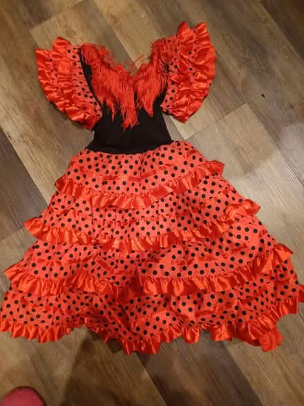 Photo of free Flamenco dress size 8y (Norton Lees, S8) #1