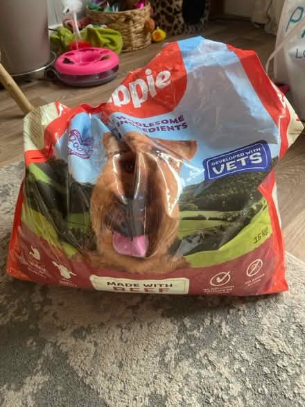 Photo of free Chappie beef kibble (Whins of Milton FK7) #1