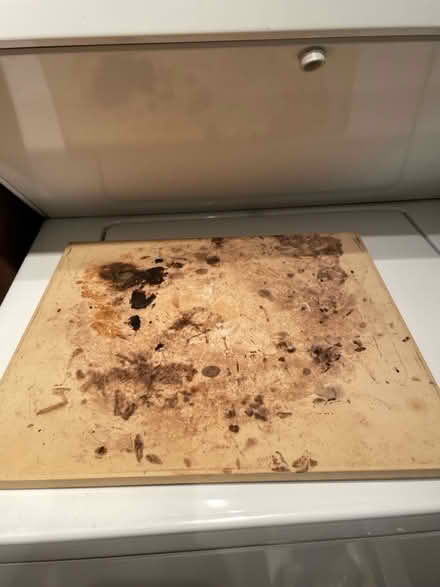 Photo of free Pizza stone (Washington, DC) #1