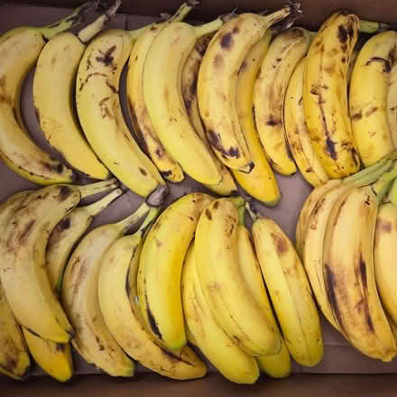Photo of free Ripe Bananas (Chiquita Av MtnVw) #2