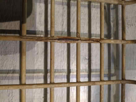 Photo of free Sink basket (Bronllys LD3) #3