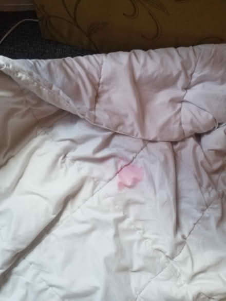 Photo of free summer duvet quilt (G20 Glasgow Maryhill) #3
