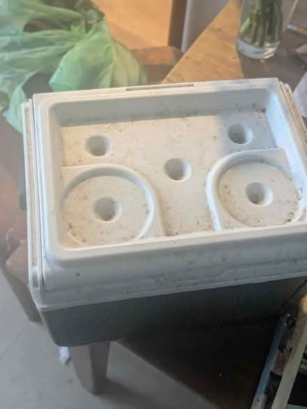 Photo of free Coleman cool box and coffee cup holder. (Earlham NR4) #2