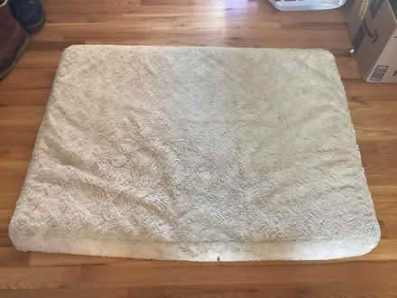 Photo of free dog bed (southwest Schaumburg IL) #1