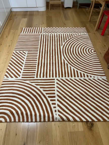 Photo of free Rug (Hackney E8) #1