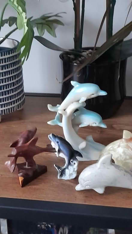 Photo of free Animal collection (Marshalswick St.Albans) #2