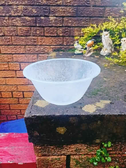 Photo of free Plastic bowl (St.Ninjas) #1