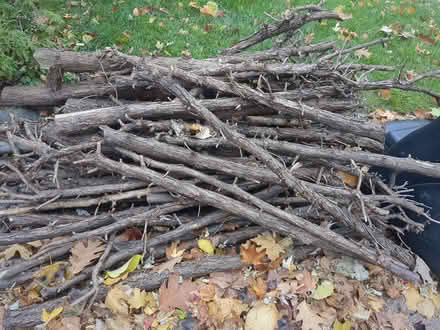 Photo of free Firewood (Westboro) #1