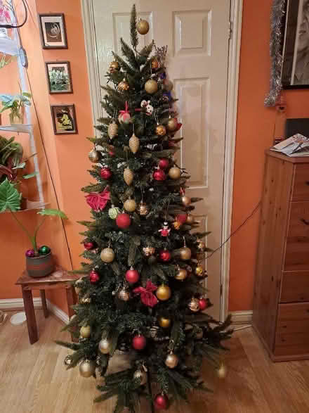 Photo of free Christmas tree (Isleworth TW7) #1