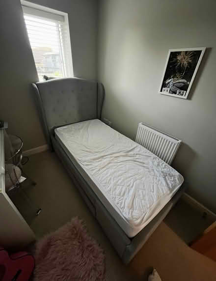 Photo of free Bed and Mattress (TN15) #1