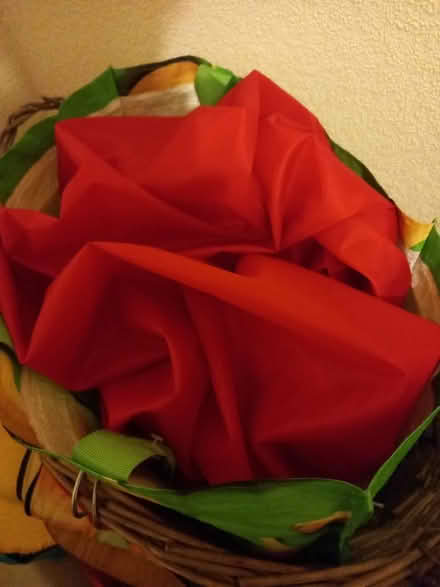 Photo of free Large red plastic sheet (Woking GU21) #1