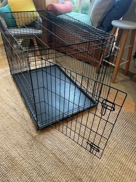 Photo of free Large dog crate (East Sheen SW14) #2