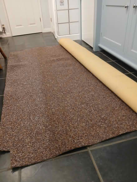 Photo of free Carpet (S17 (Dore)) #1