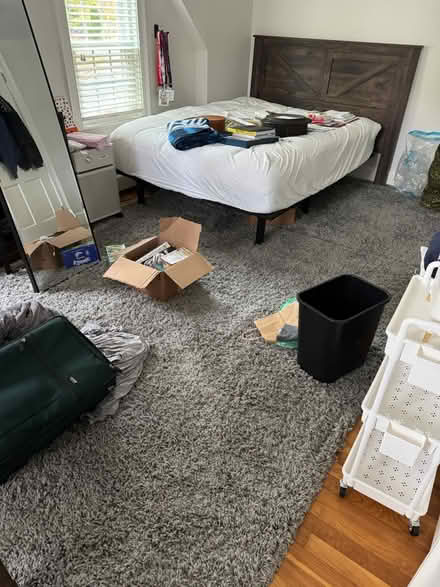 Photo of free 2 Free Rugs - 5x8 & 8x10 (Newton Highlands south of Rt 9) #1