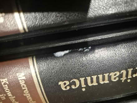 Photo of free Britannica Encyclopedia (Colchester CO2) #4