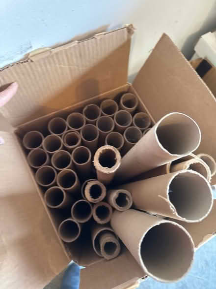 Photo of free Art- Paper tubes & mat boards (Upper Chichester, PA) #1