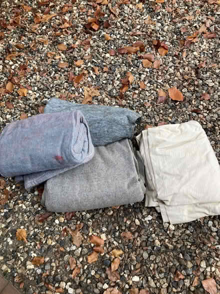 Photo of free Movers blankets (3) and decorators dust sheet (1) (Catton NR6) #1