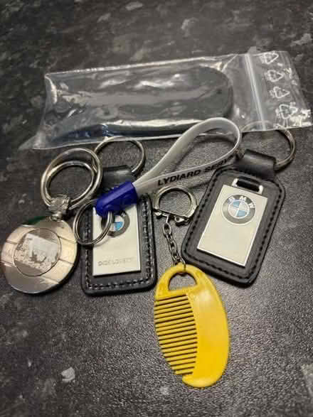 Photo of free Assorted key rings (Lydiard Millicent SN5) #1