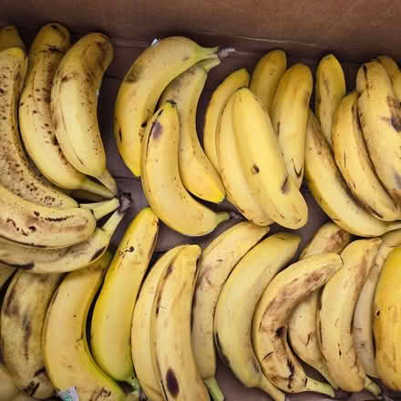 Photo of free Ripe Bananas (Chiquita Av MtnVw) #3