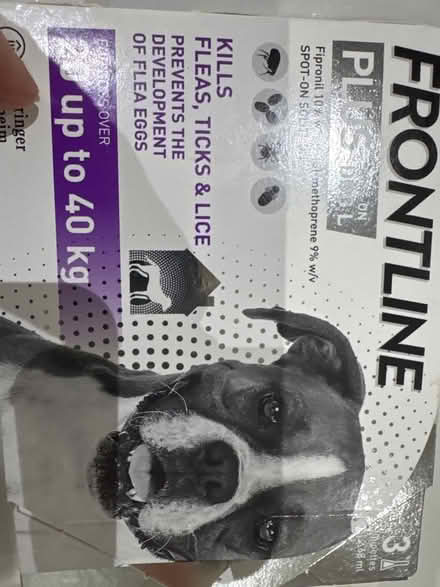 Photo of free Flea treatment (GL4) #1