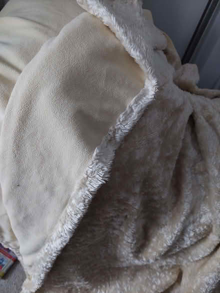 Photo of free fur blanket (Chatham ME4) #1