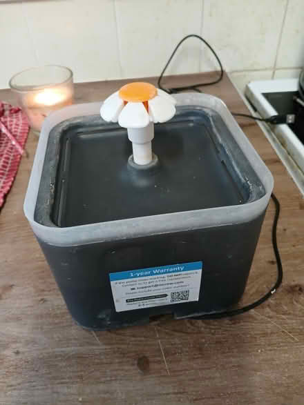 Photo of free Pet water fountain (Cheddington LU7) #1