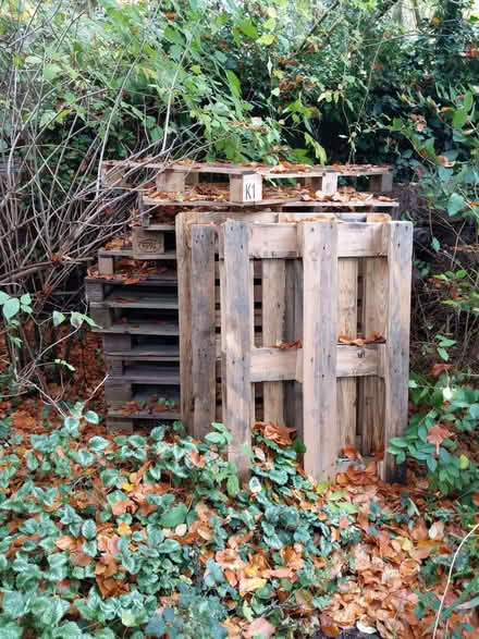 Photo of free Pallets (West Hagbourne OX11) #1
