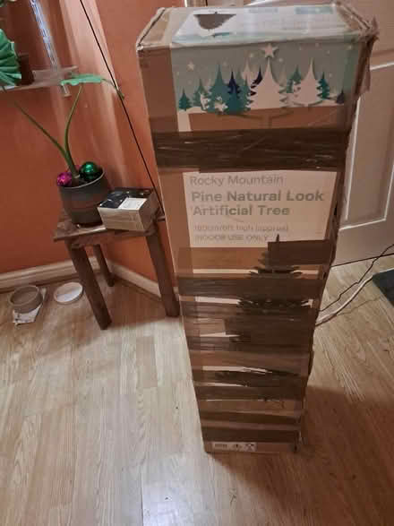 Photo of free Christmas tree (Isleworth TW7) #3